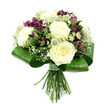 A refined hand-tied bouquet stands out clearly against a pure white background, every petal and leaf visible in gentle, even light. The focus is on several large, creamy white roses, their petals tightly yet generously layered, creating a soft, rounded heart to the design. Between these classic blooms, clusters of deep purple alstroemeria weave through, some flowers fully open with delicate freckles lining their inner petals, others held in elegant buds that promise future colour. Fine trails of white gypsophila drift around the central flowers, like a veil of tiny stars that bring lightness and movement to the composition. Adding another layer of interest, small, spiky filler blooms in shades of green and white-suggestive of Astrantia or thistle-like flowers-peek out here and there, giving a subtle, textured contrast to the smooth rose petals. All of the flower heads are encircled by broad, glossy dark green leaves, carefully folded and curved to form a structured collar that feels both modern and timeless. Below this green frame, the fresh stems are trimmed evenly and bound together with a simple green and white ribbon, revealing the tidy, natural lines of the bouquet. The arrangement feels peaceful and polished, a perfect choice for sending thoughtful wishes across Oxford-perhaps to a home near Christ Church Meadow, a celebration in Marston, or as a gentle sympathy gesture. It radiates purity and understated luxury, ideal for weddings, anniversaries, or any moment when you want to express sincere, elegant sentiment.