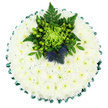 Captured from a bird's-eye view on a pure white background, this circular funeral tribute resembles a tranquil, snow-soft cushion of flowers carefully arranged by a local Oxford florist. The entire surface is carpeted with small, pristine white chrysanthemums, likely spray or cushion varieties, each bloom packed closely to the next until they form an almost seamless layer. Their layered petals give a velvety, quilted feel, while their pale, green-tinted centres provide a gentle warmth that stops the design from feeling cold. Encircling the tribute, a rich emerald satin ribbon is folded into regular, scalloped pleats, its sheen adding a refined, tailored finish reminiscent of the well-kept formal borders found in Oxford college gardens.   

Offset slightly toward the top of the arrangement is a vivid central cluster that breaks the white expanse. Here, a lime-green spider chrysanthemum unfurls its long, thin petals like delicate fireworks. Around it, glossy apple-green Hypericum berries nestle amidst dark green foliage and graceful fern fronds, creating a lush, textural nest of greenery. Tucked within this, two distinctive Scottish thistles stand proudly, their spherical, spiny forms tinted in muted blue and violet. Their strong, architectural shape and cool colour provide a marked contrast to the soft white base, suggesting Scottish roots or special memories north of Oxford's familiar spires.   

The overall effect is one of calm dignity and heartfelt remembrance, a floral cushion suited to funerals and memorial services throughout Oxford, from quiet village churches just beyond the ring road to chapels around Headington and Botley, offering families a gentle, beautifully crafted symbol of their love and farewell.