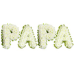 A tender, dignified floral tribute carefully shaped to spell the word PAPA in bold, uppercase letters, each character formed from tight clusters of pristine white spray chrysanthemums or similar small white blooms. The flowers are densely packed to create a softly domed, cushion-like surface on each letter, the ruffled petals catching a cool, diffuse light against a pure white background so the composition reads with calm clarity. A delicate band of pale green ribbon or a neat border of soft foliage traces the outer edges of every letter, the lime-tinged green providing a fresh yet restrained contrast that sharpens the silhouettes without detracting from the quiet white bloom. From a florist's vantage the piece reads both technical and tender: pinning each spray so the lines remain crisp, blending abundant heads to avoid gaps, and easing the ribbon into gentle waves that echo the rhythm of the letters. There is an implied, comforting scent of chrysanthemums that feels understated and clean rather than overpowering, inviting close, reflective viewing. This arrangement sits firmly in the language of memorial floristry - a personalised funeral tribute intended to honour a father or grandfather, used at wakes or graveside services to express respect, remembrance and love. As a local touch, many families in Oxford choose similar designs for services near Christ Church Meadow or deliveries to chapels around St Giles and the Covered Market; the white-and-green palette carries the familiar note of peace and purity that residents recognise in times of farewell. The overall impression is one of composed reverence: a straightforward, lovingly made homage to a cherished paternal presence.