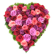 From an overhead view a heart-shaped tribute of roses unfolds like a soft tapestry, every inch densely filled with fully opened blooms. The palette moves from deep crimson and wine-dark burgundy through classic scarlet to a wash of blushing coral and pale pinks, then brightens into fuchsia and magenta before settling into delicate lavender and richer plum tones. Each rose sits snugly beside its neighbour so the petals form a continuous, velvety surface without visible gaps; the tightly furled centres and gently curling outer petals suggest perfect freshness and a plush, tactile softness you can almost feel. Around the heart a fine, spring-green border of ferny foliage or moss-like greenery frames the silhouette, its texture both fragile and springy, offering a cool contrast to the warm floral colours. Soft, natural light highlights subtle shadows between petals, making each bloom read with depth and the faint perfume of roses seems to hang in the imagined air. The arrangement reads as an intimate, solemn celebration of devotion - suitable for lovers' anniversaries, Valentine's gestures, Mother's Day offerings, or as a dignified memorial piece at a funeral where its shape speaks of abiding affection. Made with careful, florist-level craftsmanship, the composition balances symmetry and organic movement so the eye travels gently around the heart and rests at its centre. I picture this piece brought quietly into a chapel near the Radcliffe Camera or set on a mantel in a family home after a service at Christ Church Meadow, its quiet beauty offering comfort and a sense of enduring love.